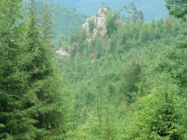 Rekreačná chata na čistinke v Osrblí-Štomp - nádherné prostredie (4537 m2)