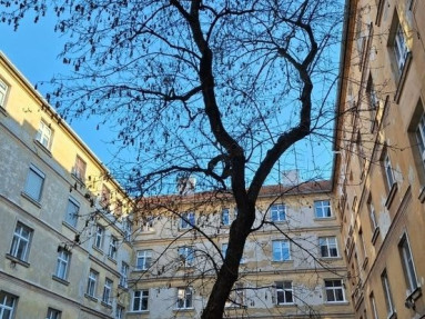 Prenajom velkého, 3-izbového bytu na Medenej ulici